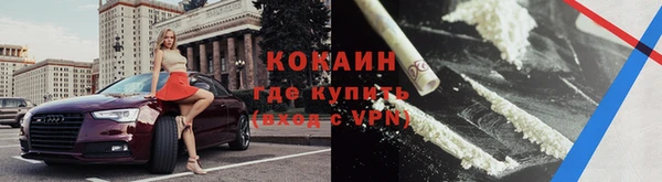 твердый Богданович