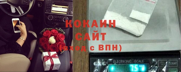 jwh Белокуриха