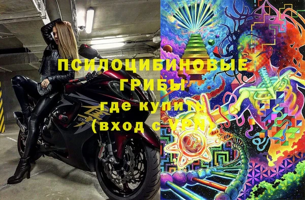 jwh Белокуриха