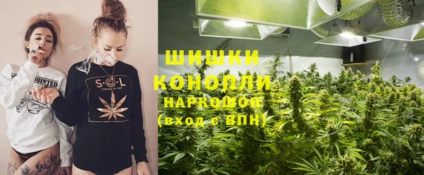 твердый Богданович