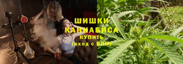 крисы Богородицк