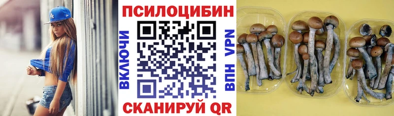 Псилоцибиновые грибы ЛСД  Балашов 