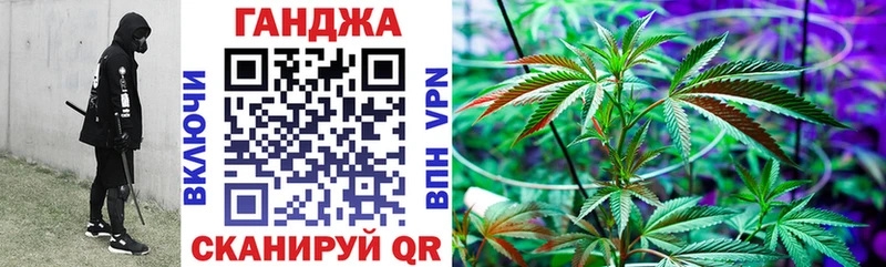 где можно купить   Балашов  Конопля OG Kush 